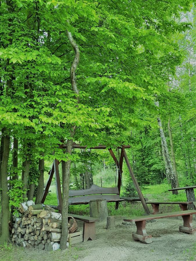 Agroturystyka "Pod Lysica" Швєнта-Катажина Екстер'єр фото